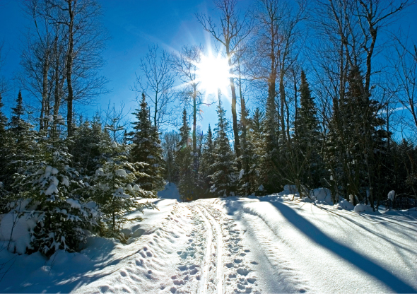 Scenic winter Cook County 