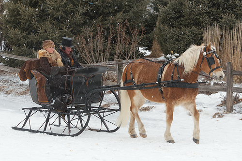 Sleigh and Cutter Festival